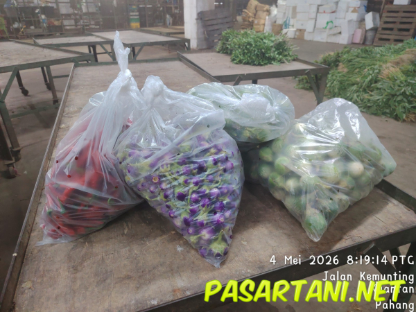 dari kebun - Brinjal / Eggplant (Terung)